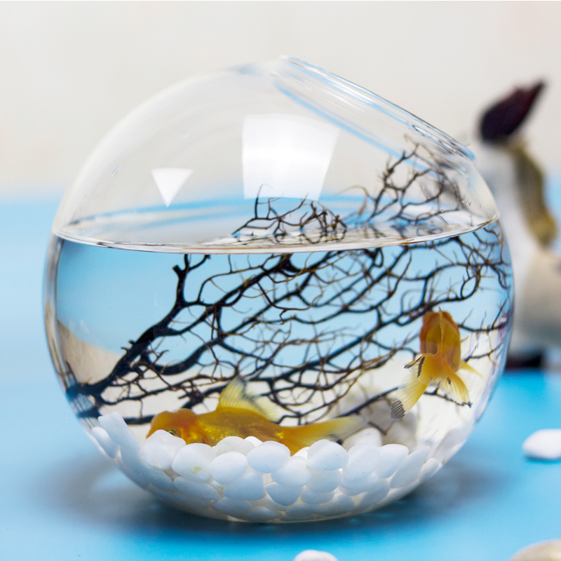 水培玻璃玻璃造景水培迷你生态瓶