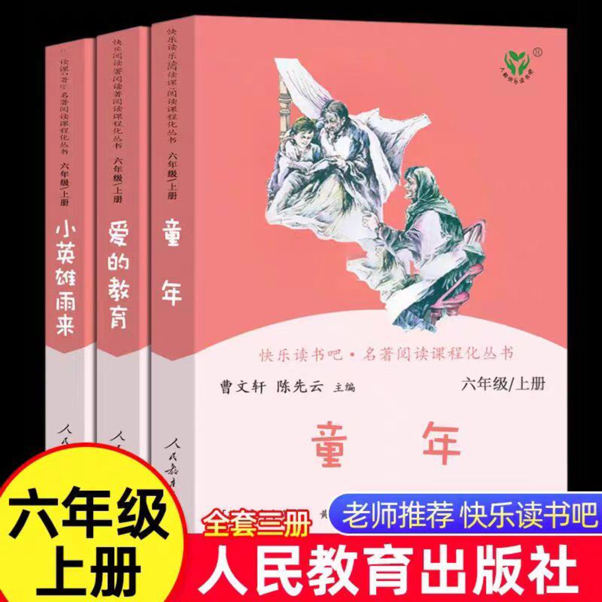 快乐读书吧六年级上册小英雄雨来爱的教育童年六年级读的课外书六年级上册