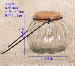 可装星星的南瓜玻璃瓶 幸运星瓶 木塞南瓜吊瓶星空瓶海洋瓶