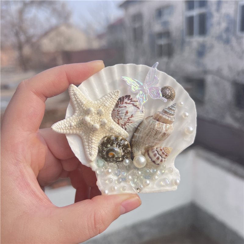 海洋海滨城市手工海星贝壳冰箱贴旅游纪念品伴手礼创意/设计玩具