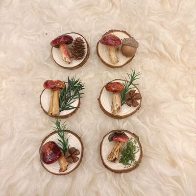 云南蘑菇菌真植物diy森系冰箱帖标本伴手礼家居墙面装饰品