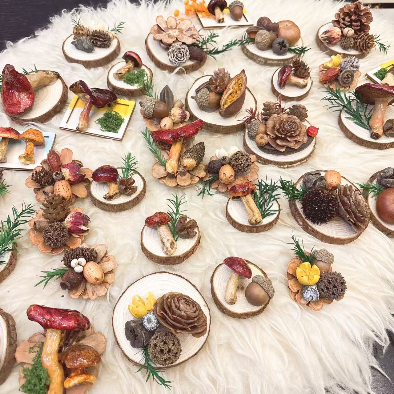 云南蘑菇菌真植物diy森系冰箱帖标本伴手礼家居墙面装饰品