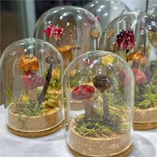 真玫瑰真蘑菇标本微观摆件装 饰生日礼物送女友情人节礼物