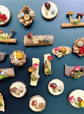 云南真蘑菇冰箱贴苍山果实真植物森系冰箱贴伴手礼装饰品装饰摆件