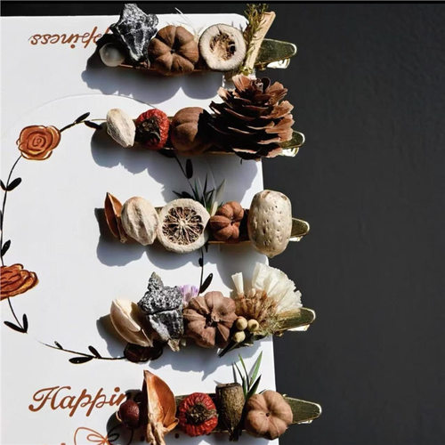 秋冬母亲节种子松果干果发夹盲盒小众设计手作女饰甜美