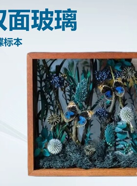 #双面玻璃蝴蝶标本微景观科普儿童昆虫摆件干花植物相框个性礼物