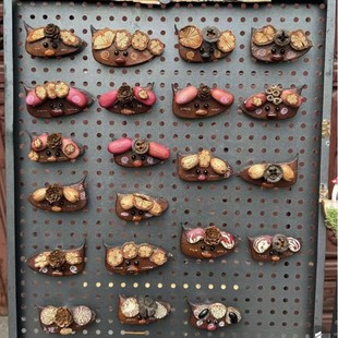 豆荚果实冰箱贴果实干花永生花冰箱贴音母亲节磁铁冰箱贴冰箱装饰