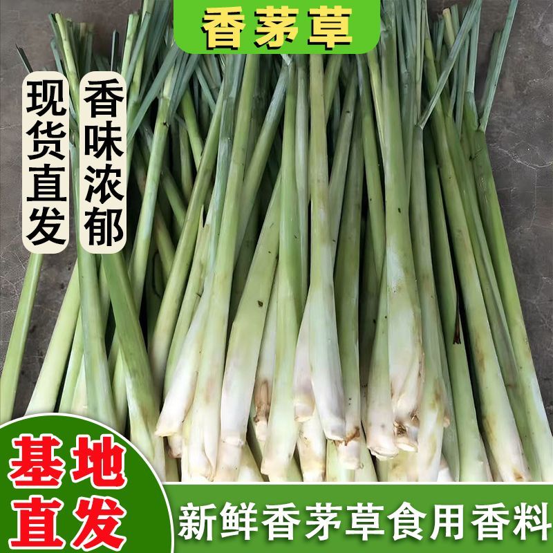 新鲜香茅草柠檬草可食用奶茶