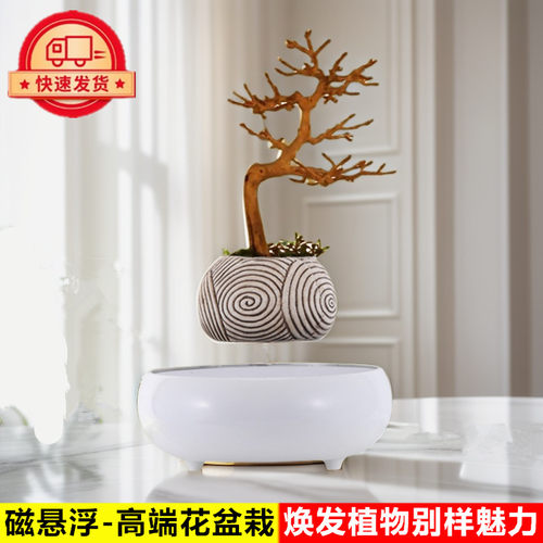 磁悬浮花盆治愈情绪稳定解压办公桌桌面摆件花草绿植物盆栽装饰品