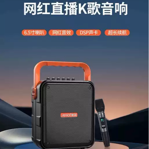 夏新V53户外手提蓝牙音响便携网红直播声卡K歌广场舞收款乐器音箱