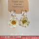 「水晶雏菊」原创设计小雏菊耳饰蚊香盘耳夹女无耳洞清新耳钉耳环