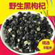 冻干正品 特级青海诺木洪黑枸杞干小罐50g大果黑果枸杞茶