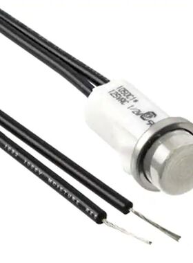 1050C2【NEON PNL INDICATOR CLR 105V-125V】