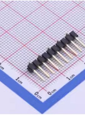 X6511WVS-10H-C60D48R1 排针 2.54mm 1x10P 立贴 方针 存储器
