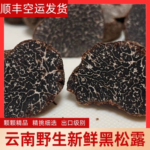 （正宗贡山松露）云南新鲜野生新鲜黑松露精挑全黑成熟新货出口级