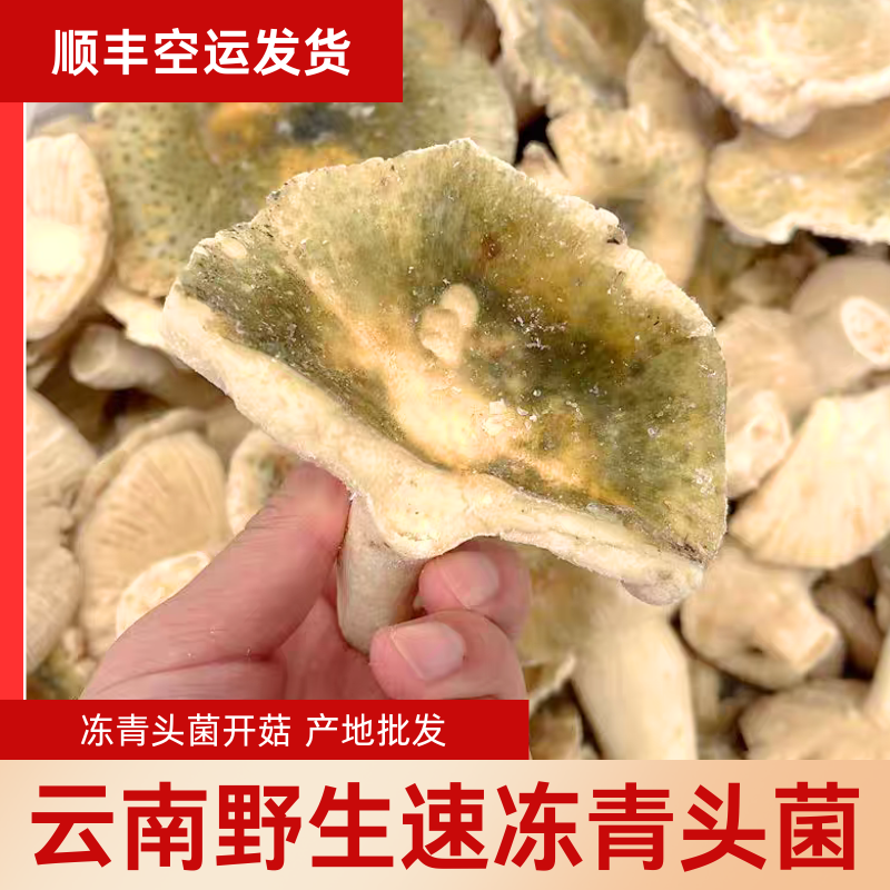 云南野生菌新鲜冻青头菌野生菌宴当季时令食用菌类蘑菇菌鲜货免洗