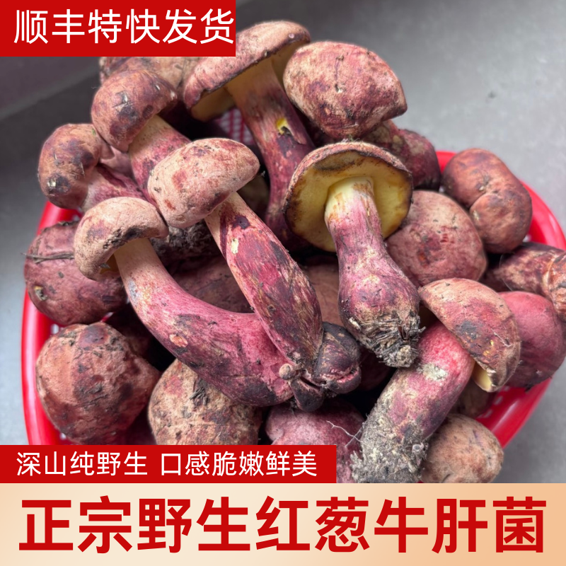 （正宗野生）云南野生菌新鲜红葱牛肝菌见手青网红蘑菇美味当季菌