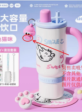 炊大皇BB12A1环游世界水杯系列配件（吸管管帽）配件