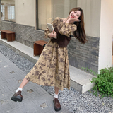 2026大货款号6139卫衣连衣裙P135K208，女装连衣裙，浙宝173（原浙宝279）