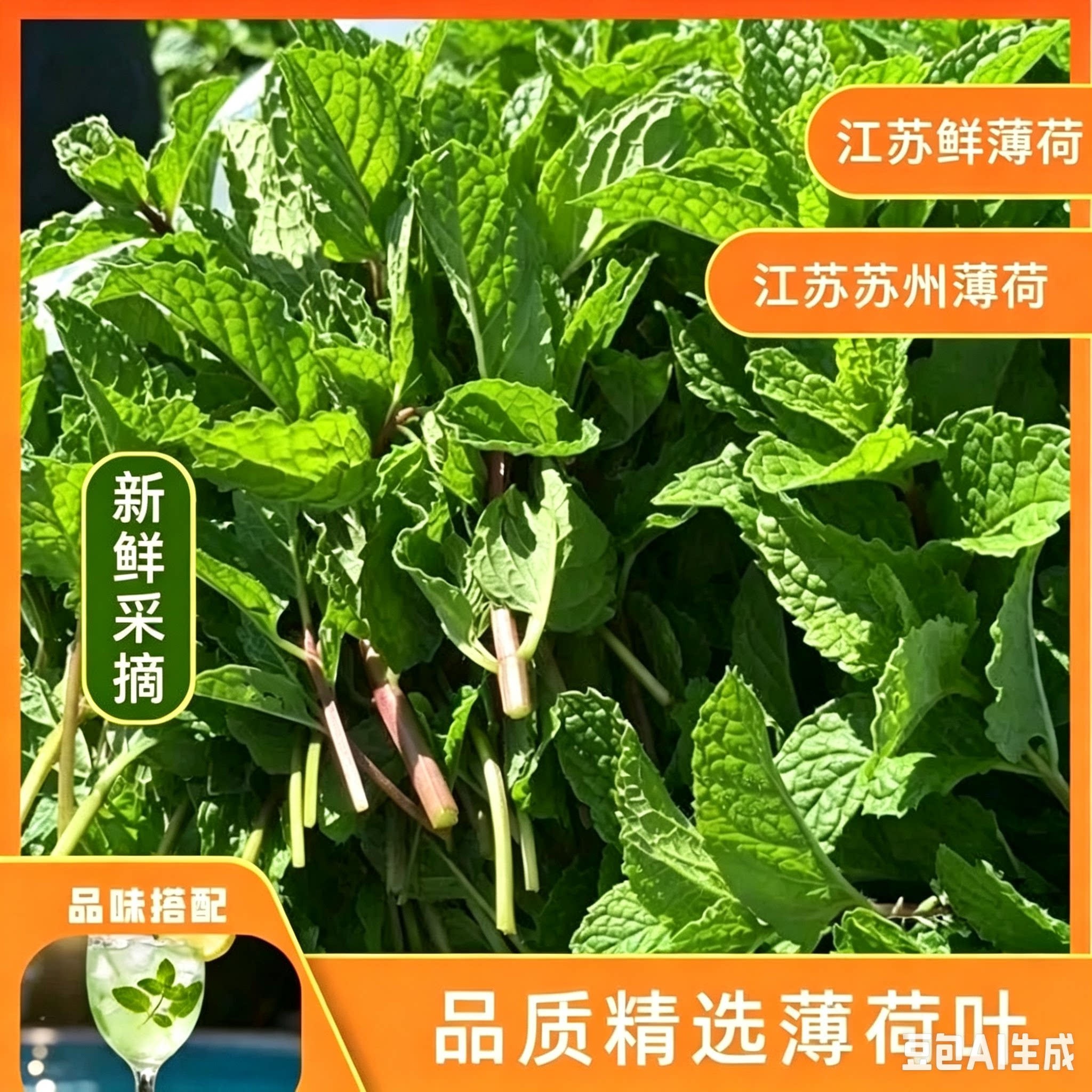 江苏新鲜薄荷叶羊肉粉馆鱼肉尖头菜留兰香基地批发