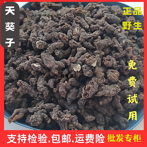 精选正品天葵子中药材专柜批发