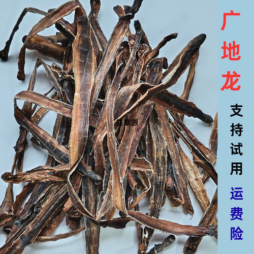 精选地龙中药材正品头尾全开批发