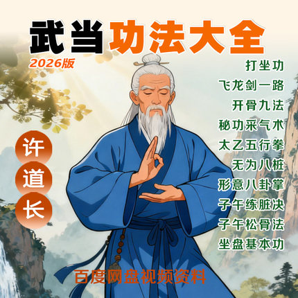 2025年武当许道长功法大全