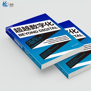 给你实现持久数字化转型 超越数字化 7位普华永道资深专家深入解析中国视角 12家国际企业实践 路线图ZL 7大战略要务