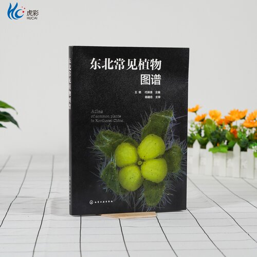 【出版社直发 路径可查 确保正版 放心买】