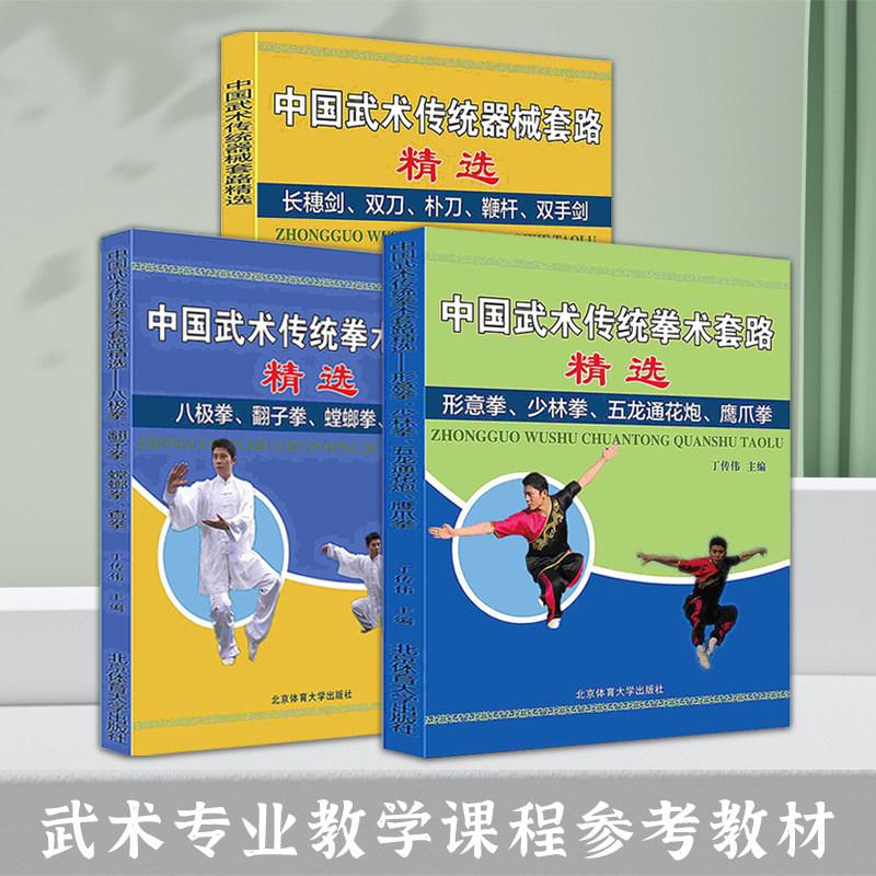 3册中国武术传统拳术套路精选(八极拳螳螂拳鹰爪拳形意拳少林拳双手剑