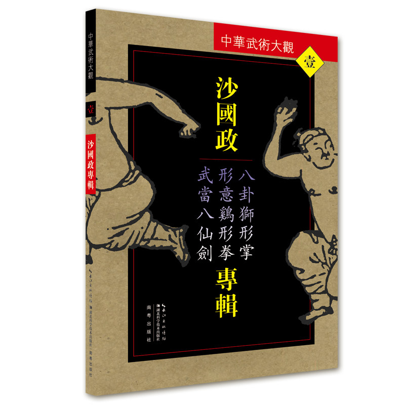 沙国政专辑：八卦狮形掌、形意鸡形拳、武当八仙剑——中华武术大观 - 实物图