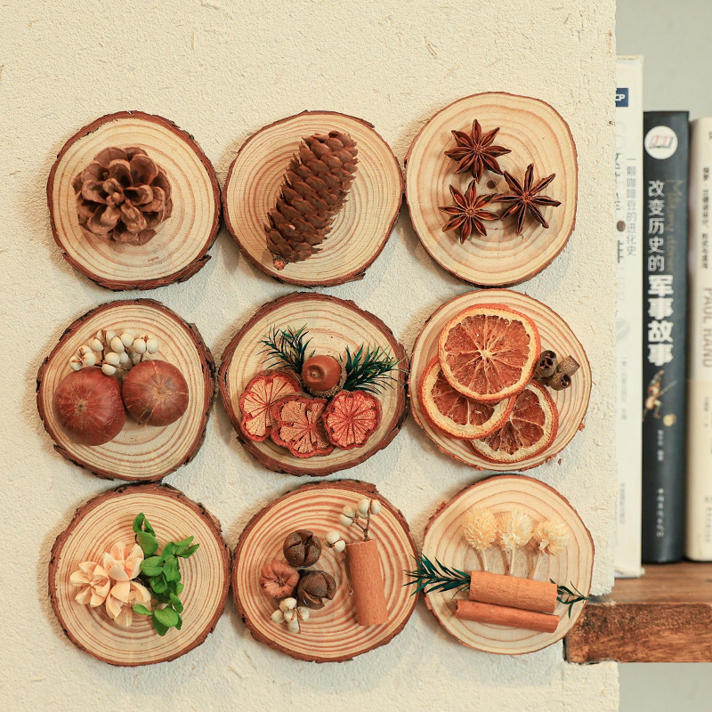《年轮里的秋》侘寂风仿木片客厅装饰画自然仿果实干花民宿墙挂画