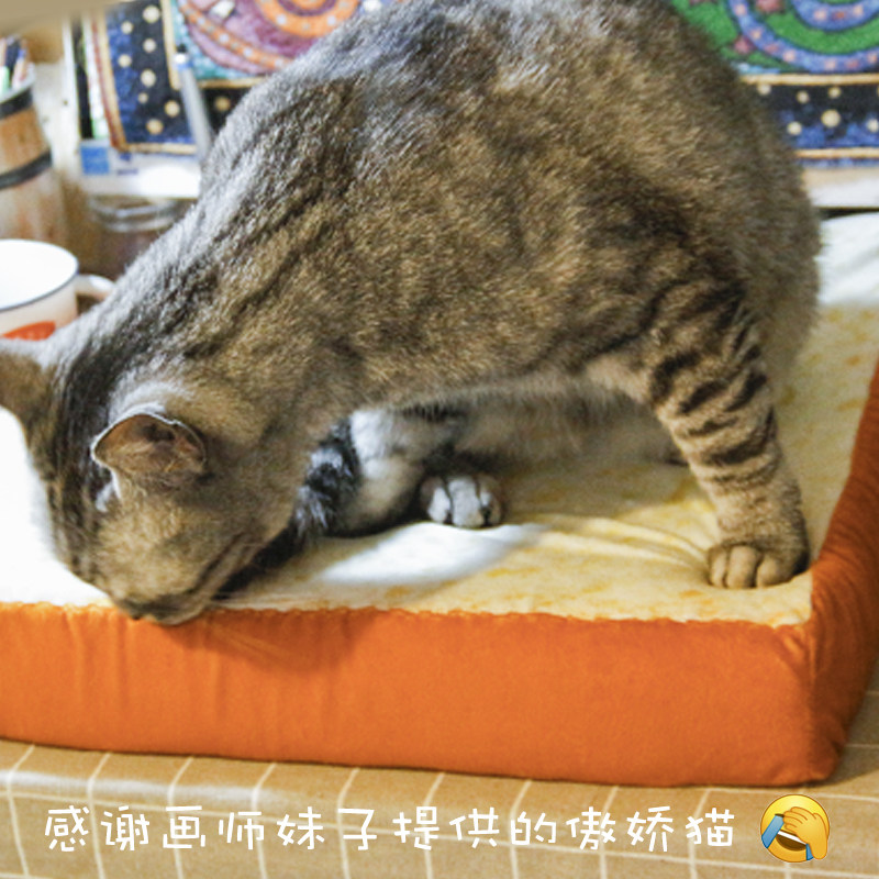 Peluche manga en peluche classe spoof - Ref 2695208 Image 3