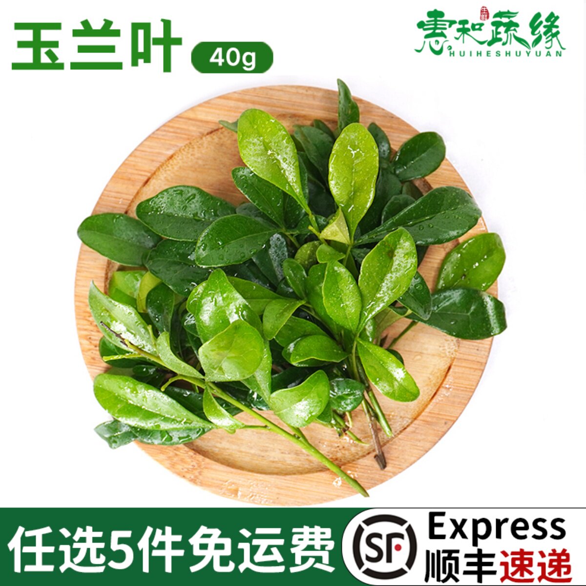 玉兰叶新鲜装饰摆盘花草蛋糕点缀