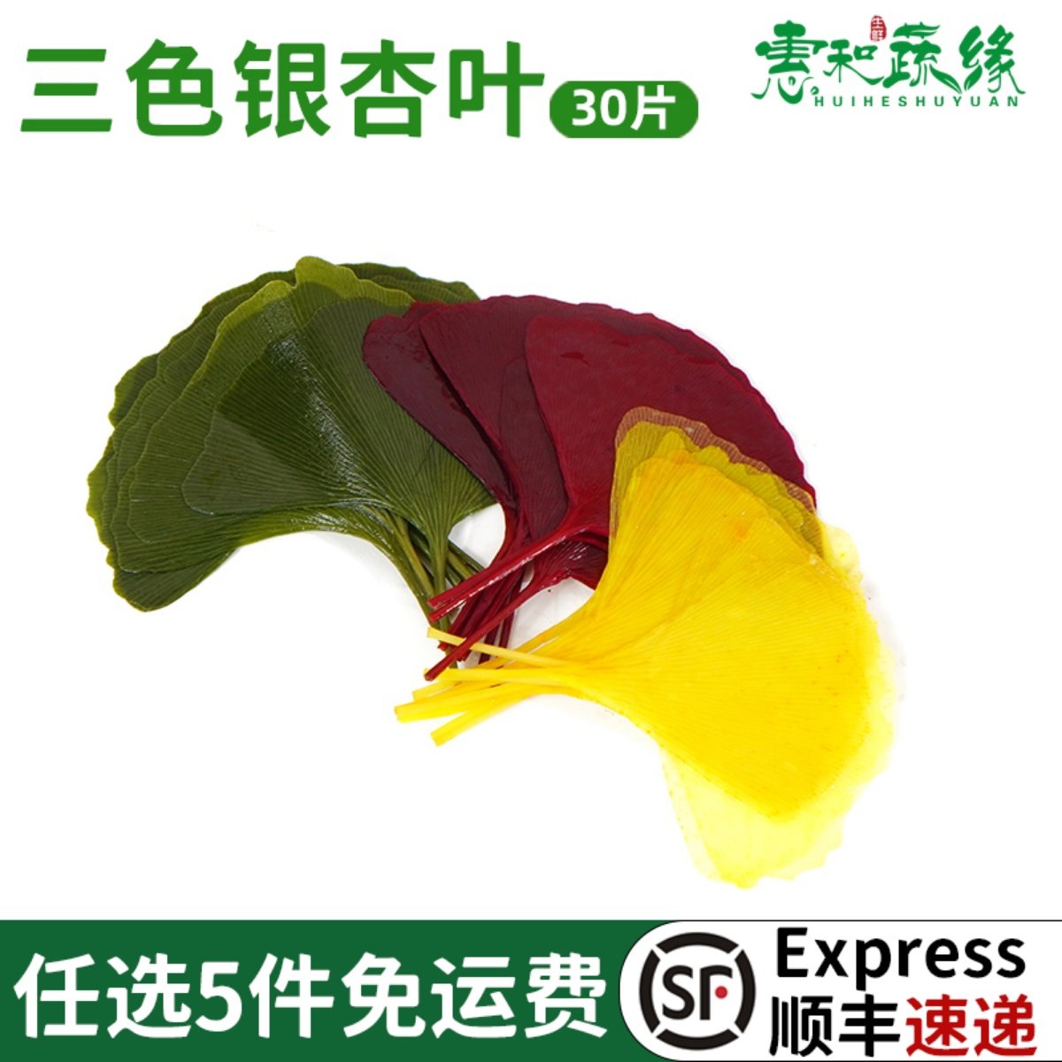 新鲜三色银杏叶约30片红黄绿多色银杏叶西餐摆盘装饰花草蛋糕点缀