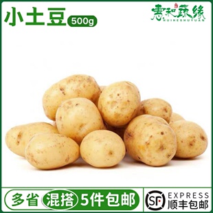 小土豆新鲜马铃薯迷你小土豆农家自种洋芋黄心土豆500g