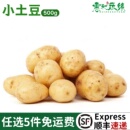 小土豆新鲜马铃薯迷你小土豆农家自种洋芋黄心土豆500g