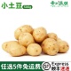 小土豆新鲜马铃薯迷你小土豆农家自种洋芋黄心土豆500g