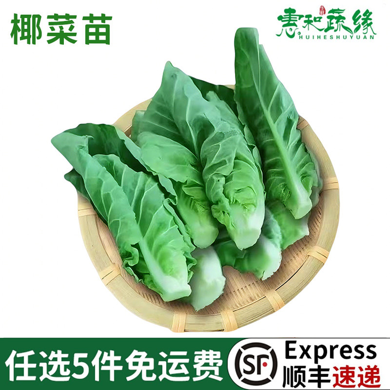 新鲜椰菜苗雪莲苗芯酒楼饭店高端特色蔬菜食材侧芽娃娃包菜500g,水产肉类/新鲜蔬果/熟食,叶菜类,淘宝优惠券,粉丝福利购,淘宝优惠卷