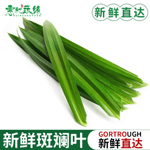 新鲜斑斓叶食用香兰叶烘焙千层蛋糕芒果糯米饭调味糕点食材原料