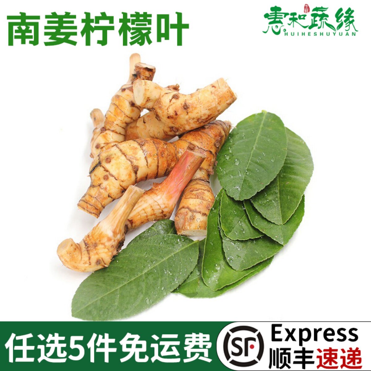 柠檬叶泰国南姜组合新鲜蔬菜香料
