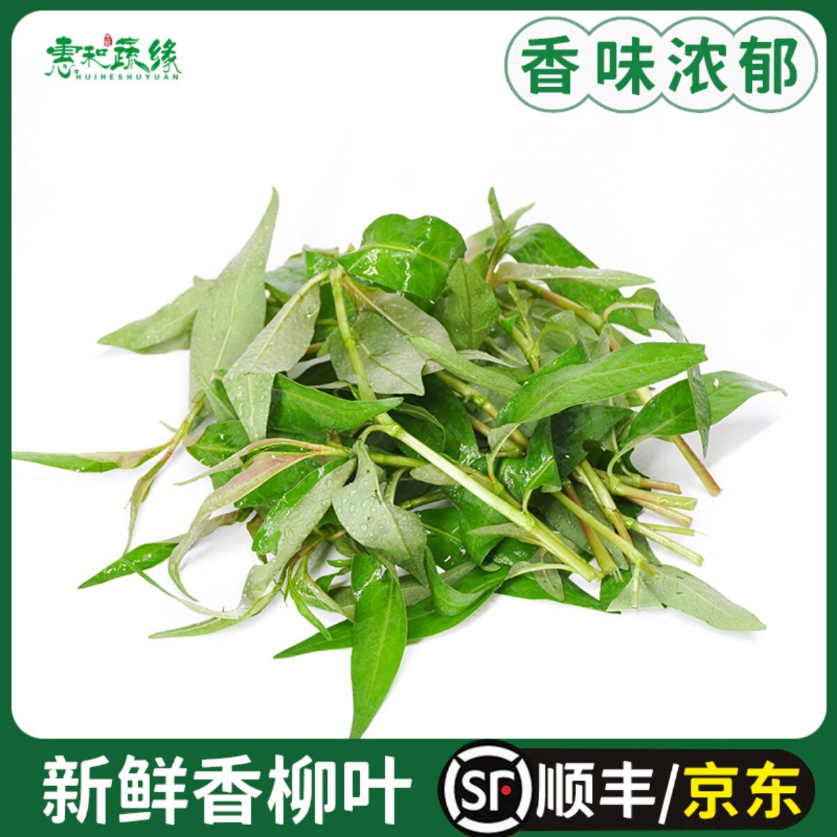 新鲜香柳叶叻沙叶拉萨叶拉莎叶500g鱼生香菜火锅配料泰国菜食用