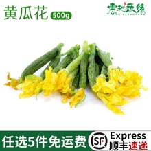 小黄瓜花新鲜迷你青瓜花苗顶花酒楼西餐特殊精品蔬菜特产500g