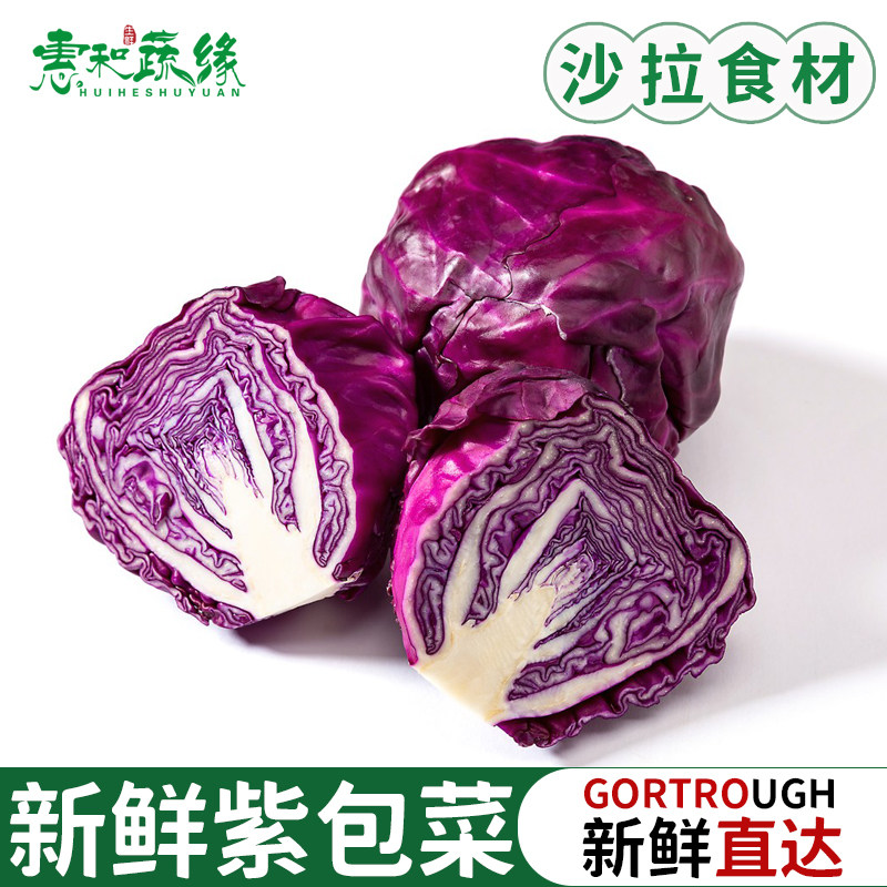 新鲜紫甘蓝蔬菜 紫色球生菜紫包菜蔬菜沙拉菜橄榄菜生菜 800g包邮
