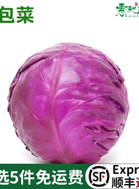 新鲜蔬菜紫甘蓝1000g紫包菜紫色球生菜蔬菜沙拉生菜橄榄菜
