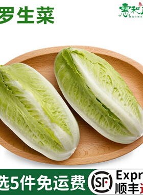 新鲜包罗生菜包心罗纹包心罗马蔬菜沙拉生菜500g绿色西餐沙拉