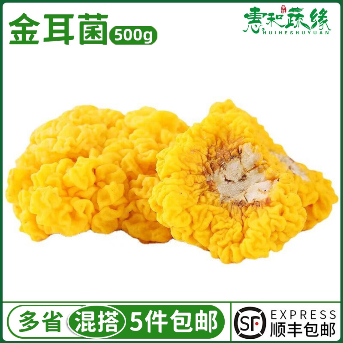 新鲜云南特产黄金耳菌500g非干货银耳菌食用菌菇刺身火锅煲汤食材