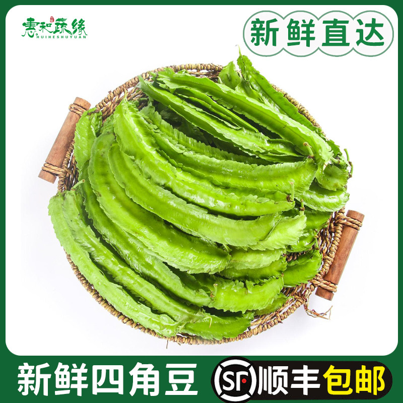 新鲜海南四角豆100g新鲜蔬菜海南特产鲜嫩龙角豆四棱豆绿色龙豆