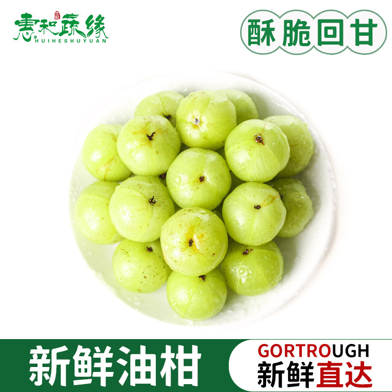 新鲜油甘果5斤余甘果牛甘子当季现摘油柑滇橄榄酸甜水果500g