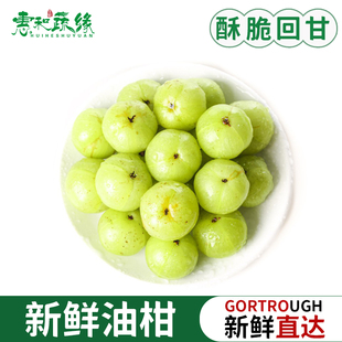 新鲜油甘果5斤余甘果牛甘子当季现摘油柑滇橄榄酸甜水果500g